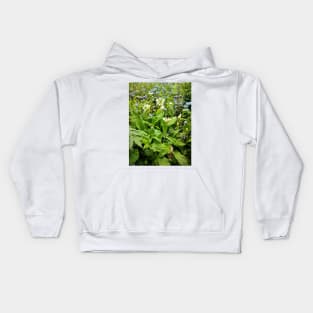 Herb bed with wild garlic Kids Hoodie